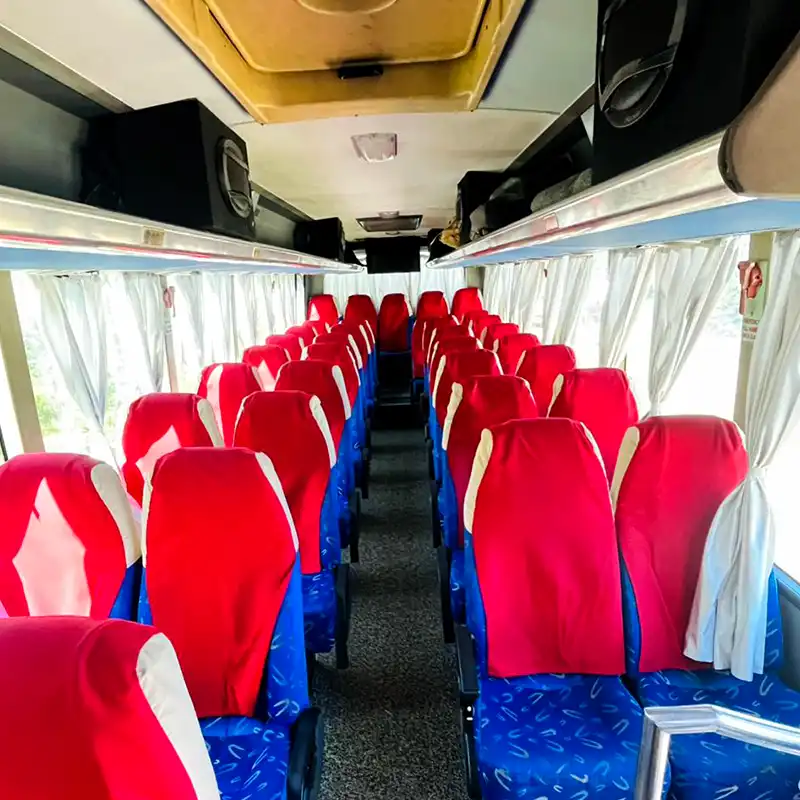 bus 1